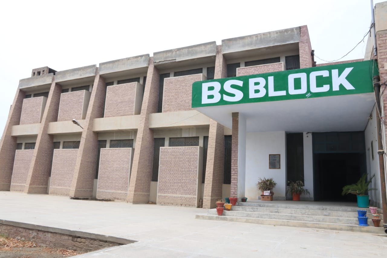 College Gallery Image